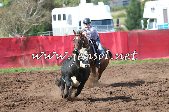NimmitabelCampdraft2015_0532