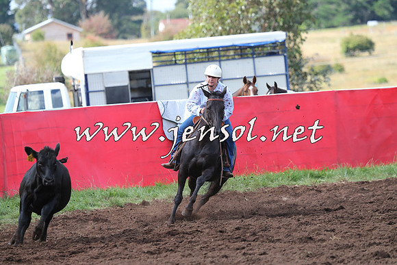 NimmitabelCampdraft2015_0469