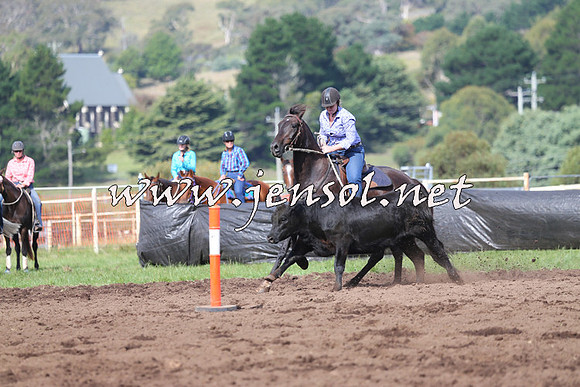 NimmitabelCampdraft2015_0614