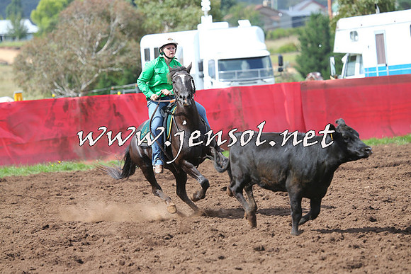 NimmitabelCampdraft2015_0387