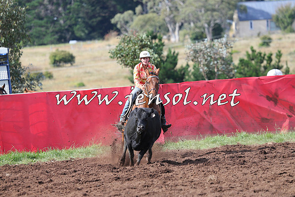 NimmitabelCampdraft2015_0579