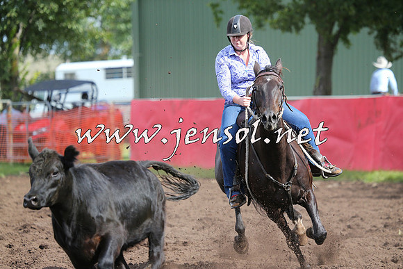 NimmitabelCampdraft2015_0611