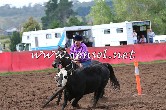 NimmitabelCampdraft2015_0317