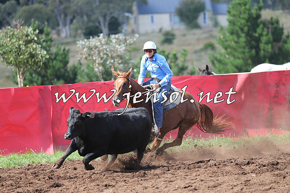 NimmitabelCampdraft2015_0512