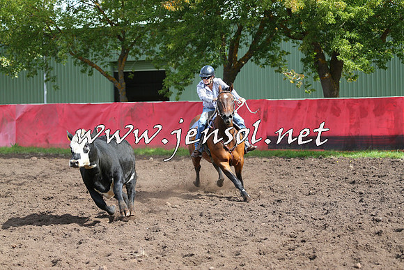 NimmitabelCampdraft2015_0535