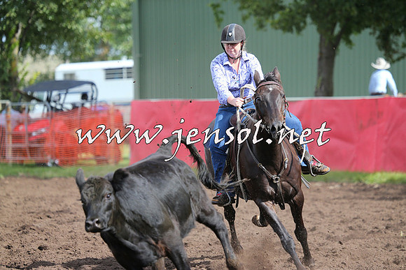 NimmitabelCampdraft2015_0609
