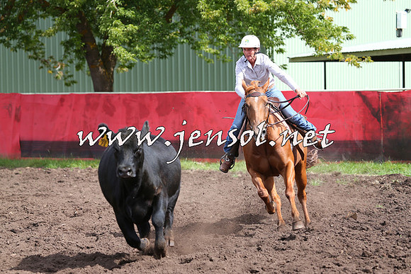 NimmitabelCampdraft2015_0349
