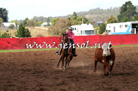 NimmitabelCampdraft2015_0307