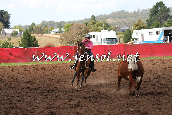 NimmitabelCampdraft2015_0307