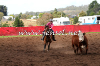 NimmitabelCampdraft2015_0306