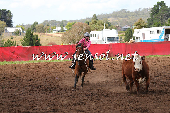 NimmitabelCampdraft2015_0306