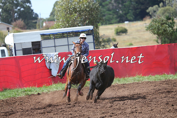 NimmitabelCampdraft2015_0448