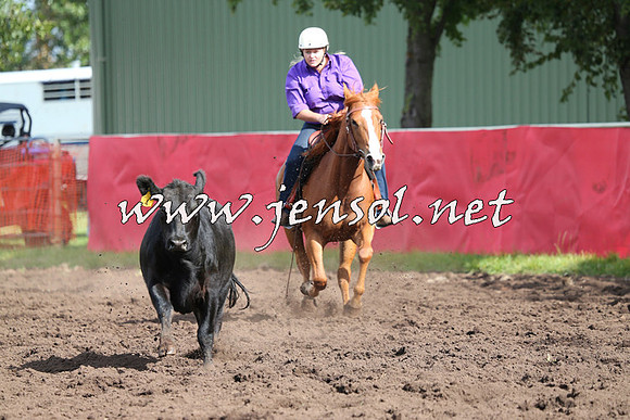 NimmitabelCampdraft2015_0558