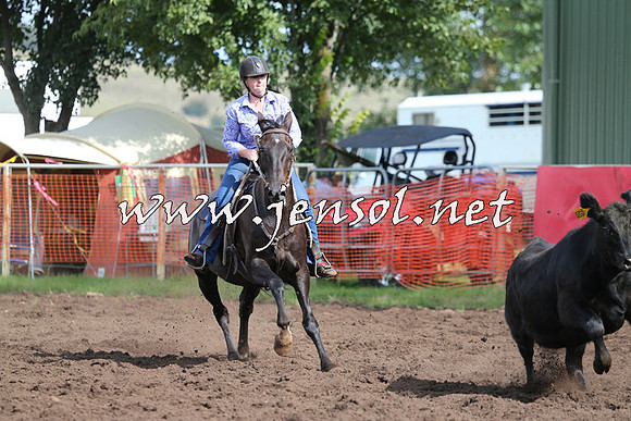 NimmitabelCampdraft2015_0608