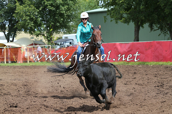 NimmitabelCampdraft2015_0334