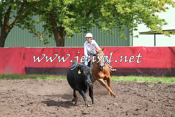 NimmitabelCampdraft2015_0351