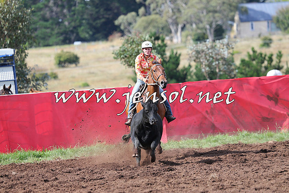 NimmitabelCampdraft2015_0589