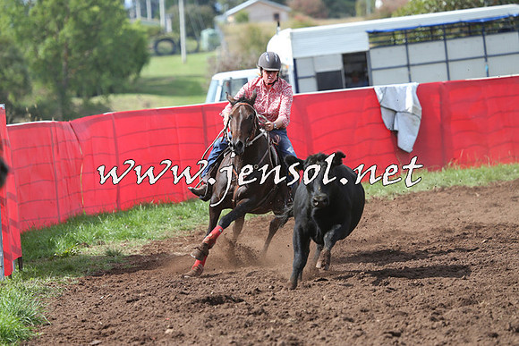 NimmitabelCampdraft2015_0413
