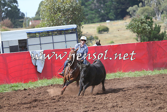 NimmitabelCampdraft2015_0445