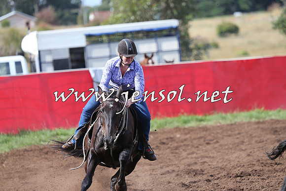 NimmitabelCampdraft2015_0603