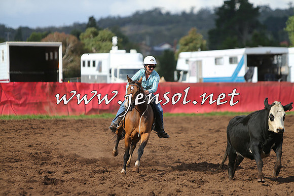 NimmitabelCampdraft2015_0620
