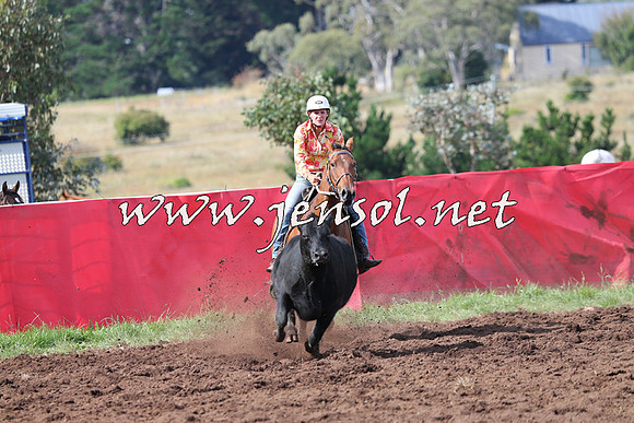 NimmitabelCampdraft2015_0578