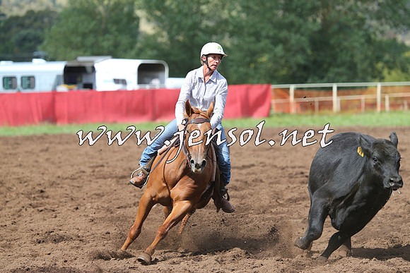 NimmitabelCampdraft2015_0357