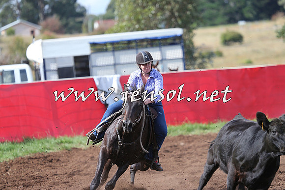 NimmitabelCampdraft2015_0605