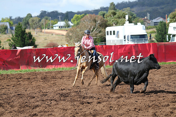 NimmitabelCampdraft2015_0547