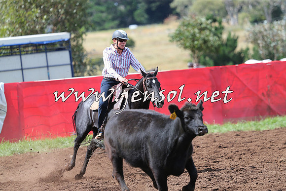 NimmitabelCampdraft2015_0304