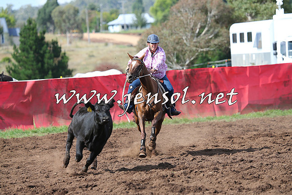 NimmitabelCampdraft2015_0568