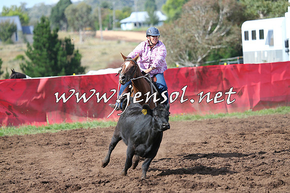 NimmitabelCampdraft2015_0564