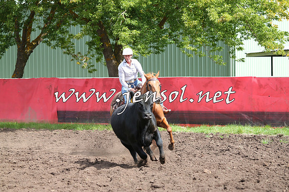 NimmitabelCampdraft2015_0344
