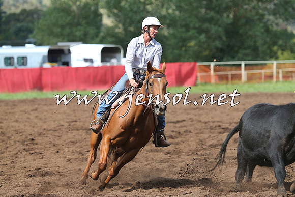 NimmitabelCampdraft2015_0355