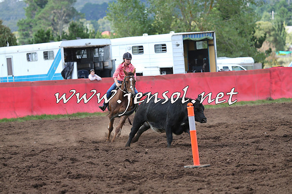 NimmitabelCampdraft2015_0408