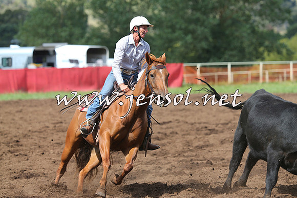 NimmitabelCampdraft2015_0354
