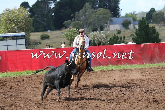 NimmitabelCampdraft2015_0372