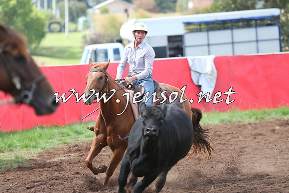 NimmitabelCampdraft2015_0340