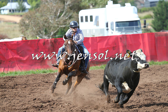 NimmitabelCampdraft2015_0531