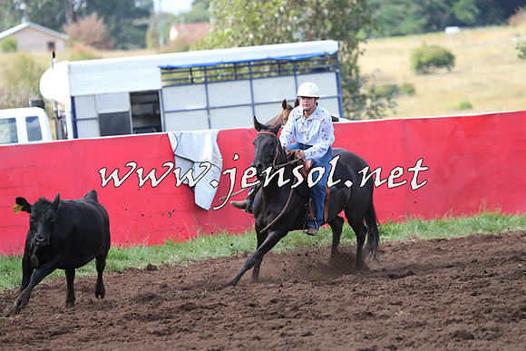 NimmitabelCampdraft2015_0461