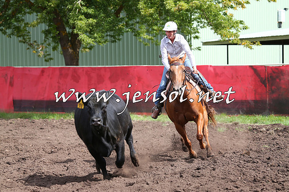 NimmitabelCampdraft2015_0350