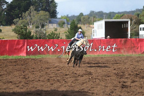 NimmitabelCampdraft2015_0662