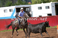NimmitabelCampdraft2015_0326