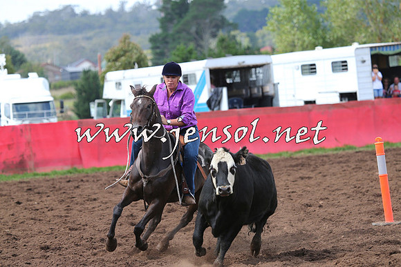 NimmitabelCampdraft2015_0315