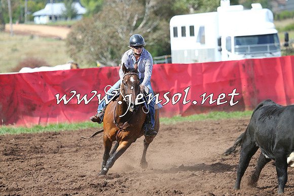NimmitabelCampdraft2015_0525