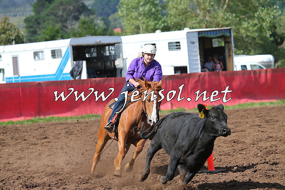 NimmitabelCampdraft2015_0553