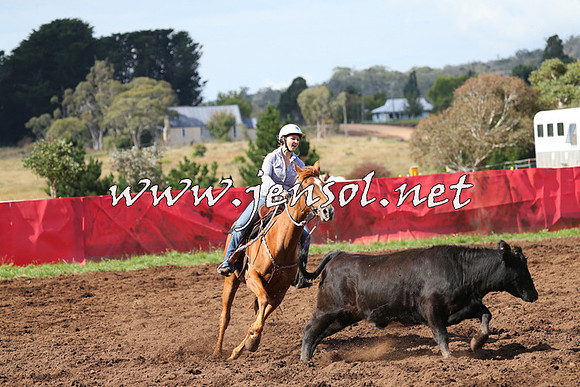 NimmitabelCampdraft2015_0524