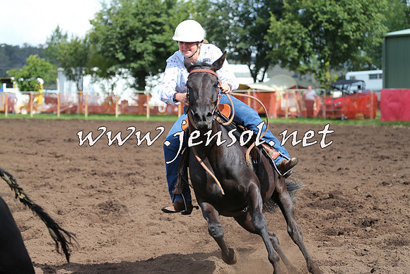 NimmitabelCampdraft2015_0473