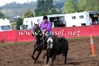 NimmitabelCampdraft2015_0314