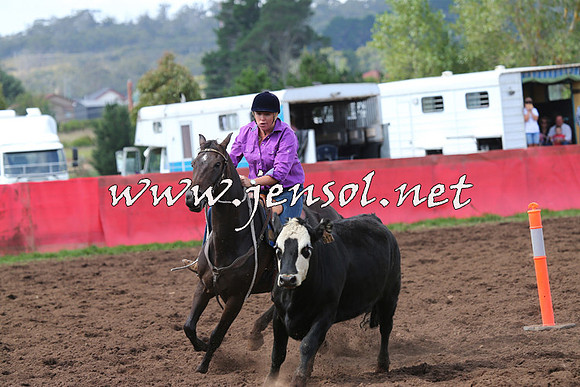 NimmitabelCampdraft2015_0314